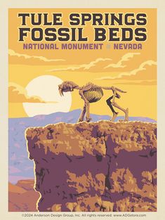 a poster with a skeleton standing on top of a cliff