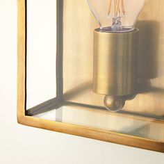 a light bulb in a glass case on a wall