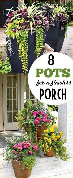 potted plants with the words 8 pots for a planter porch