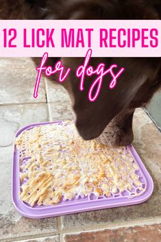 a dog eating food out of a purple litter mat on the ground with text overlay that reads, 12 lick mat recipes for dogs