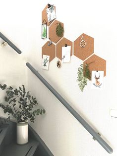 there is a plant in a vase next to some magnets on the wall and stairs