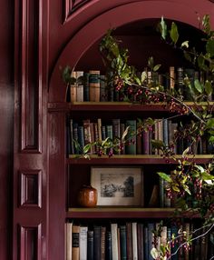 a bookshelf filled with lots of books next to a red door covered in greenery