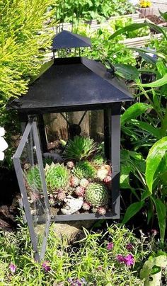 a lantern in the garden with succulents and flowers around it, surrounded by greenery