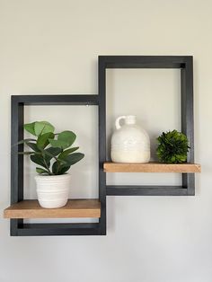 two wooden shelves with plants and vases on them