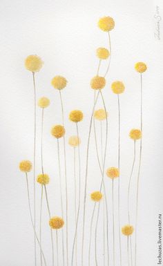 watercolor painting of yellow flowers against a white background