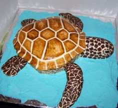 a cake shaped like a turtle in a box