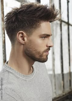 Faded Haircut, Popular Short Haircuts, Mens Haircuts Short Hair, Low Fade Haircut, Gents Hair Style, Quiff Hairstyles, Mens Hairstyles Thick Hair, Men's Short Hair