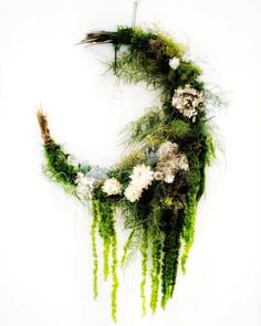 a wreath made out of moss and flowers on a white background with the letter c