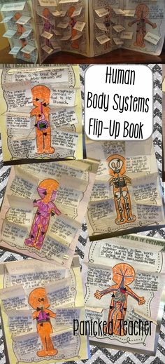 an open book with pictures of human body systems on it and the title, human body systems flip - up book