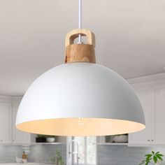 a white light hanging over a kitchen counter next to a pot filled with flowers and greenery