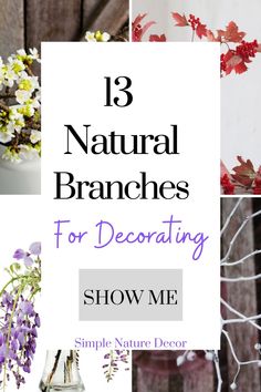 flowers and branches with the words 13 natural branches for decor show me on top of them