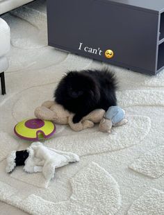 a black and white dog laying on top of a stuffed animal next to a toy