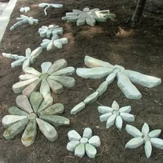 some rocks are laying on the ground in front of a tree and flower potted plant