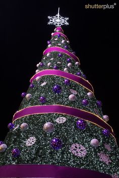 a large christmas tree with purple and silver decorations on it's sides, in front of a black background