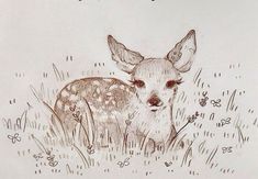 a drawing of a deer in the grass with words above it that says, i am not sure what this is