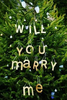 a christmas tree with the words will you marry me written on it