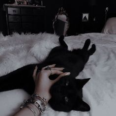 a person petting a black cat laying on top of a white bed covered in fur