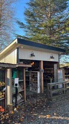 an outdoor store with lots of pumpkins and other things in the front yard area