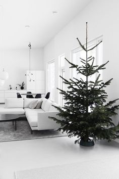 a living room filled with furniture and a christmas tree in the middle of the room