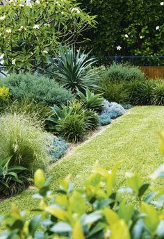 a garden with lots of green grass and plants in the foreground, surrounded by shrubbery