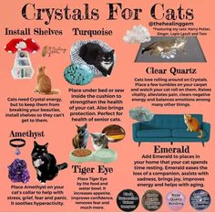 a poster with cats and their names on it's back side, including the words crystals for cats