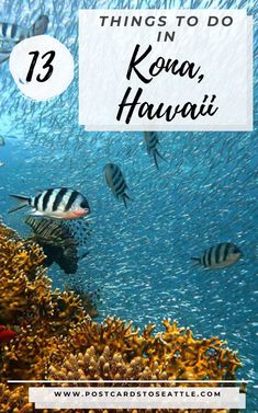 some fish swimming in the ocean with text overlay that reads 13 things to do in kona, hawaii