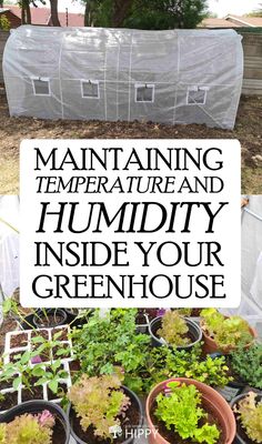 several different types of plants in pots with the words maintaining temperature and humidity inside your greenhouse