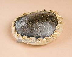 a tortoise shell on a pink surface