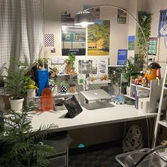 an office with many plants and pictures on the wall behind the work desk, as well as a laptop computer