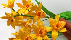 yellow flowers are being held by someone's hand on a white surface with green leaves