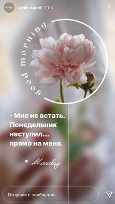 a pink flower in a vase with the words morning, i love you on it