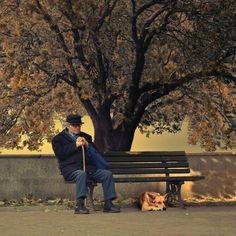 an old man sitting on a bench next to a dog under a tree with his cane