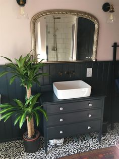 a bathroom with a potted plant next to the sink and mirror on the wall