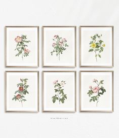 four framed floral prints on a white wall