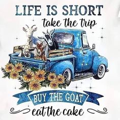 an old blue truck with sunflowers and goats in the bed