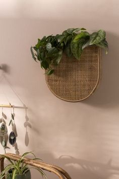 a plant hanging on the wall next to a potted plant in a wicker basket