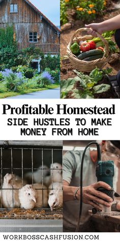 Turn your homestead into a profitable business with easy side hustles like raising chickens, gardening, and woodworking. Perfect for beginners in homesteading or anyone looking to earn extra income from their land! #HomesteadLiving #SideHustles #BackyardFarming #HomesteadingIdeas #EarnFromHome ✔ Ready to start?Discover profitable homestead ideas now!