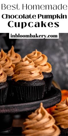 cupcakes with chocolate frosting on top and the words best homemade chocolate pumpkin cupcakes