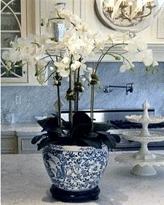 a blue and white vase filled with flowers on top of a counter