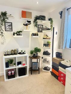 a living room filled with lots of plants and shoes on shelves next to a window