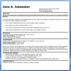 a professional resume template for students with no work experience and no experience on the job