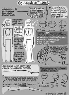 an info sheet describing how to draw the human figure in different ways, including lines and shapes