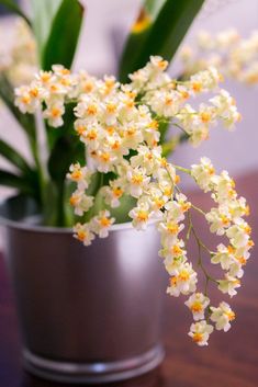 small white flowers in a silver vase on a table