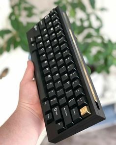 a hand holding a black computer keyboard in front of a potted plant