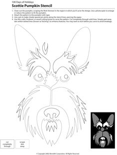 a paper cut out of a dog's face with the words scottie pumpkin stencil