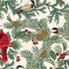 birds and pine cones on a white background with red berries, evergreen leaves and pine cones