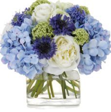 a vase filled with blue and white flowers