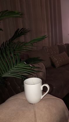 a coffee cup sitting on top of a couch next to a palm tree in a living room