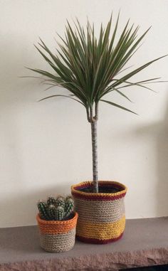 two crocheted pots with a small palm tree in one and a smaller plant in the other