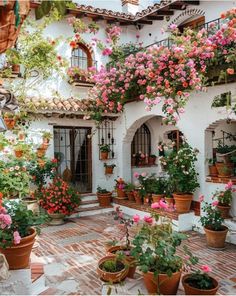 an outdoor courtyard with potted plants and flowers